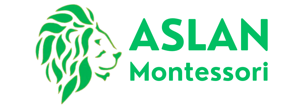 aslanmontessorischool.com